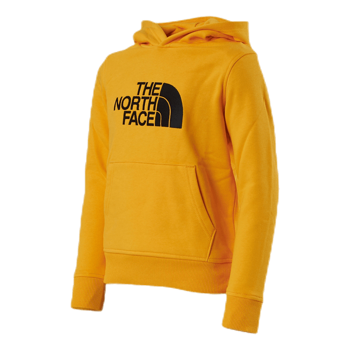 TNF Drew Peak Hoody Junior Black/Yellow