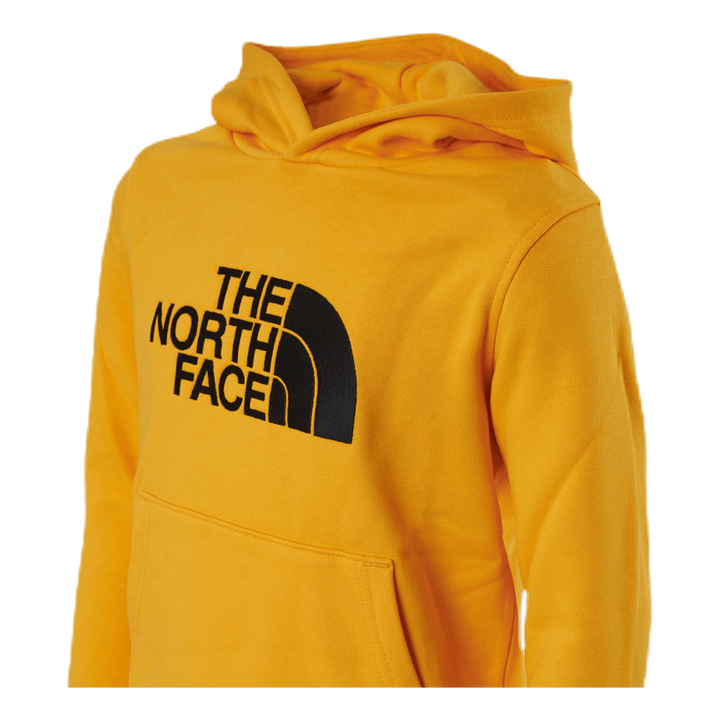 TNF Drew Peak Hoody Junior Black/Yellow