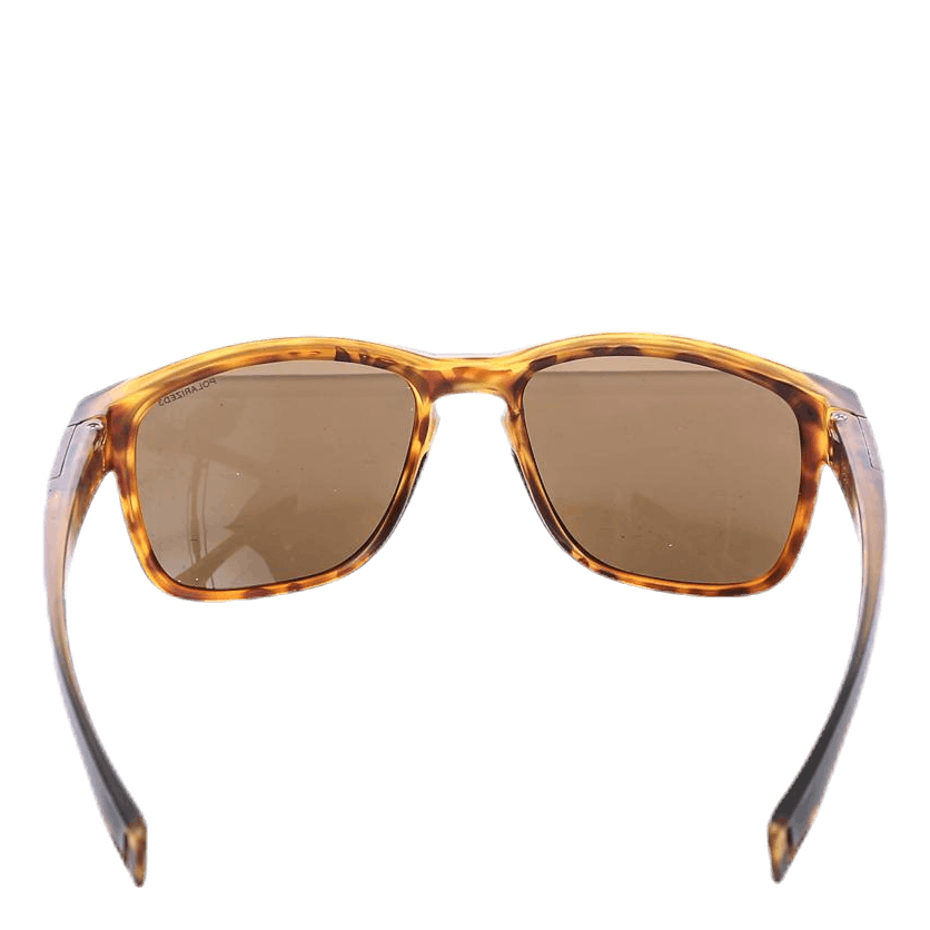 Paddle Polarized 3 Brown/Black