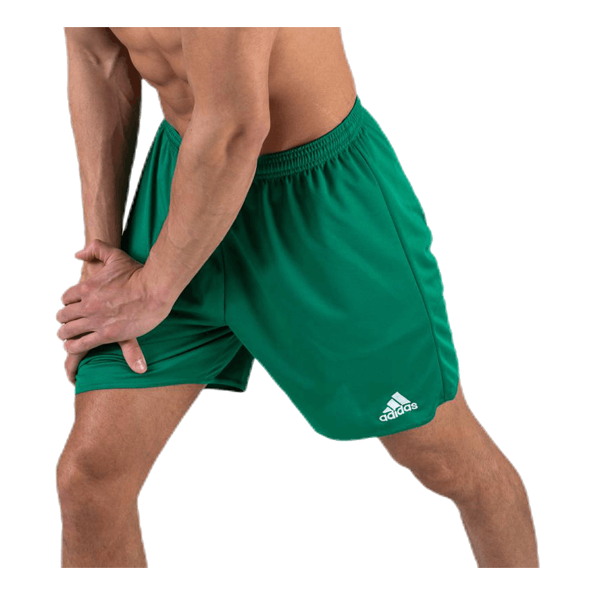 Parma 16 Shorts WB Green