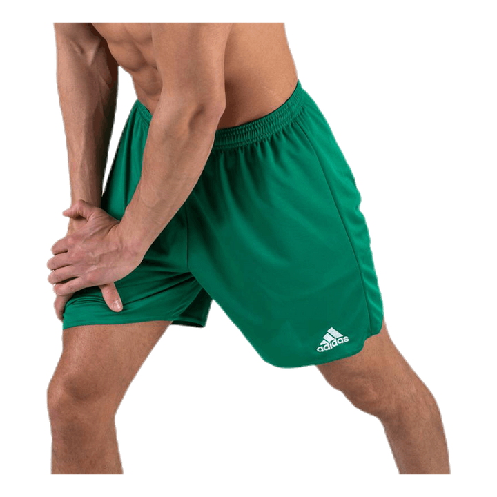 Parma 16 Shorts WB Green