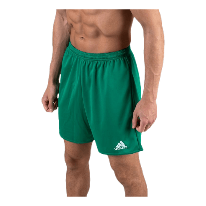 Parma 16 Shorts WB Green