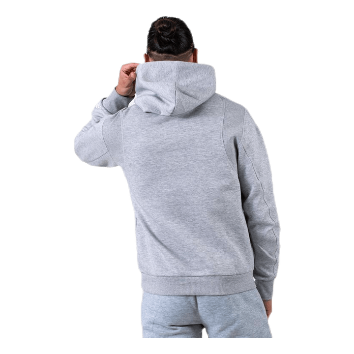 VRCT Hoodie Grey