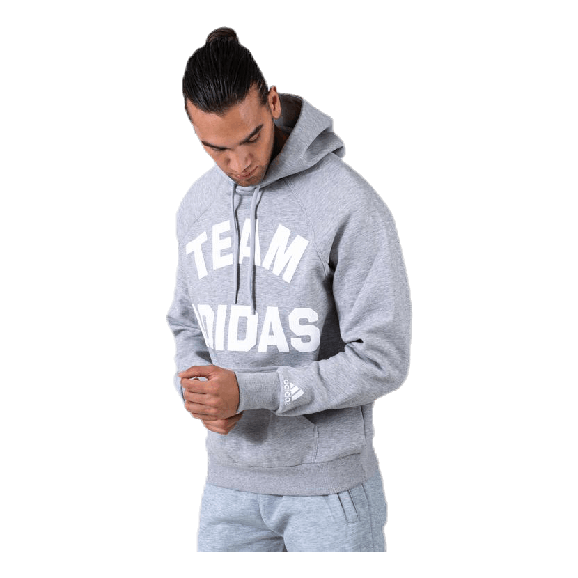 VRCT Hoodie Grey