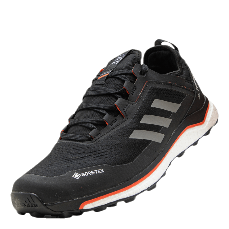 adidas Terrex Agravic Flow GTX Black – - Main Image