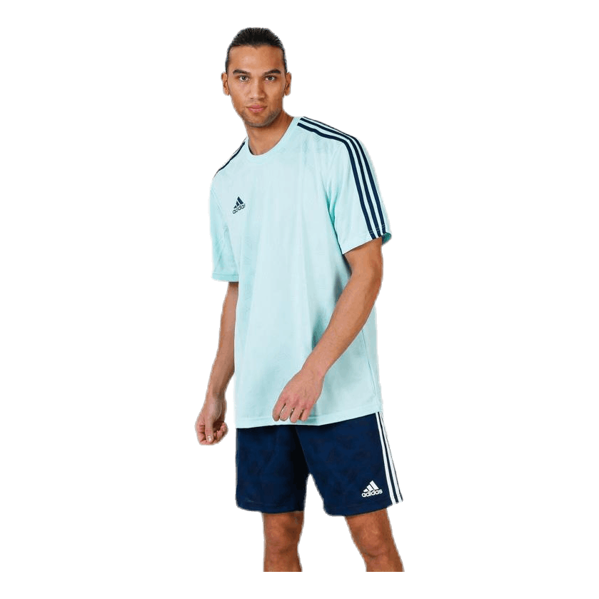 Tango Jaquard Jersey Blue/Green