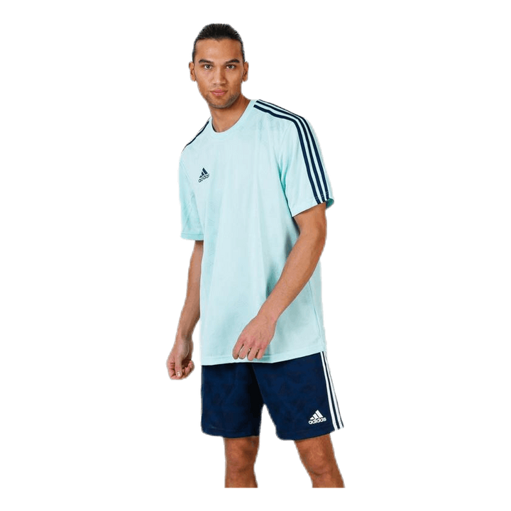 Tango Jaquard Jersey Blue/Green