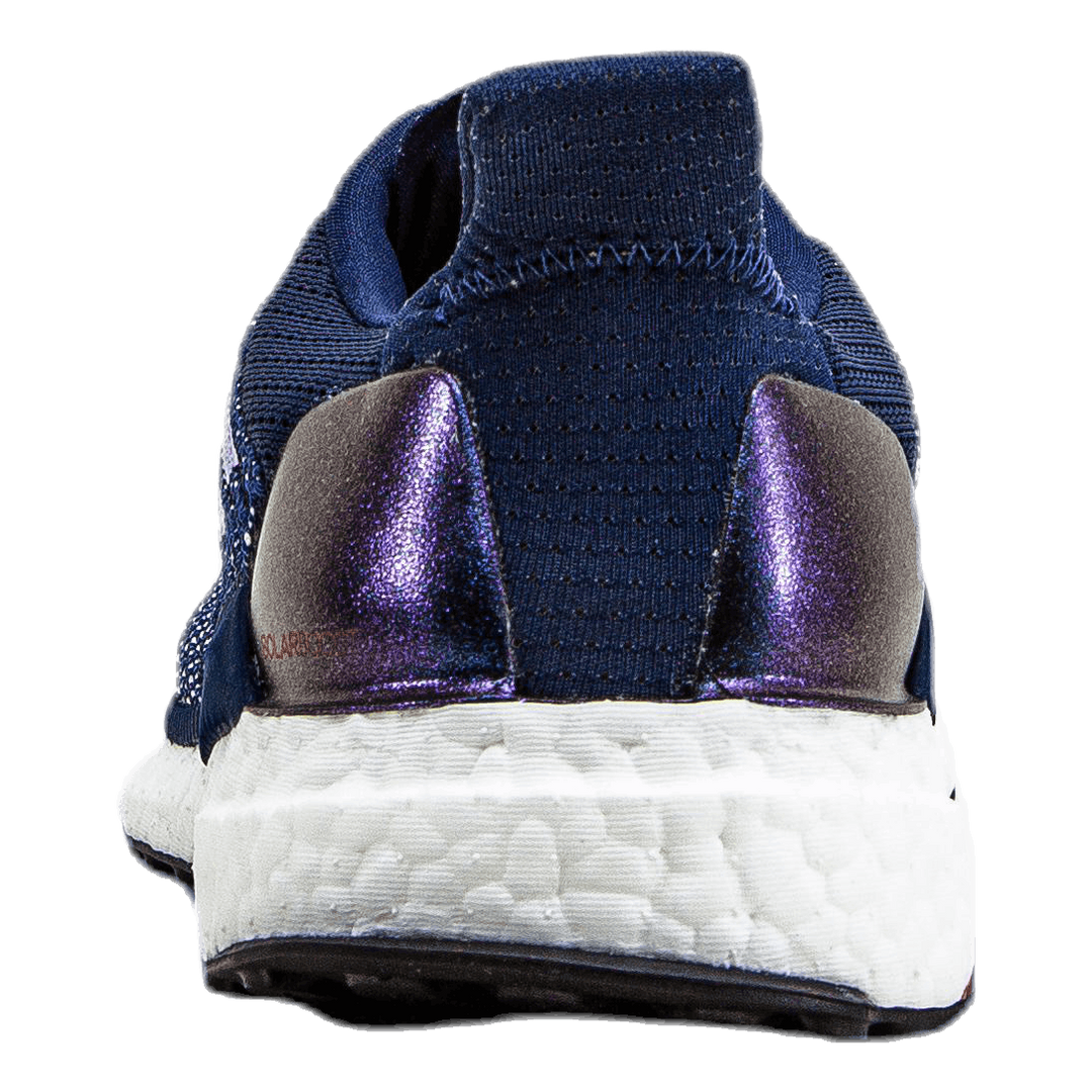 Solar Boost 19 Purple