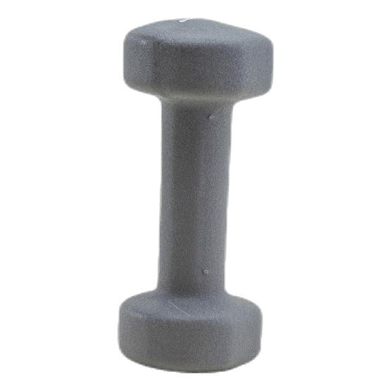 Dumbbell 2 KG Grey