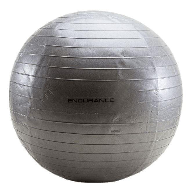 Gym ball 65 CM Silver