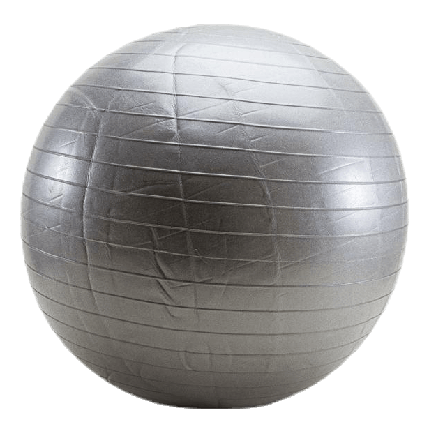 Gym ball 65 CM Silver