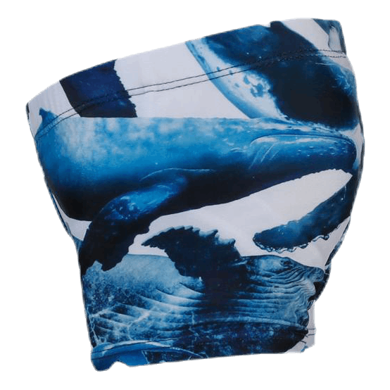 Nansen Swim Diaper Blue