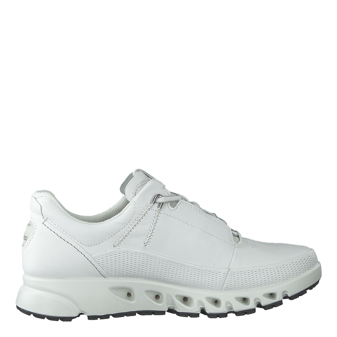 Ecco omnivent clearance