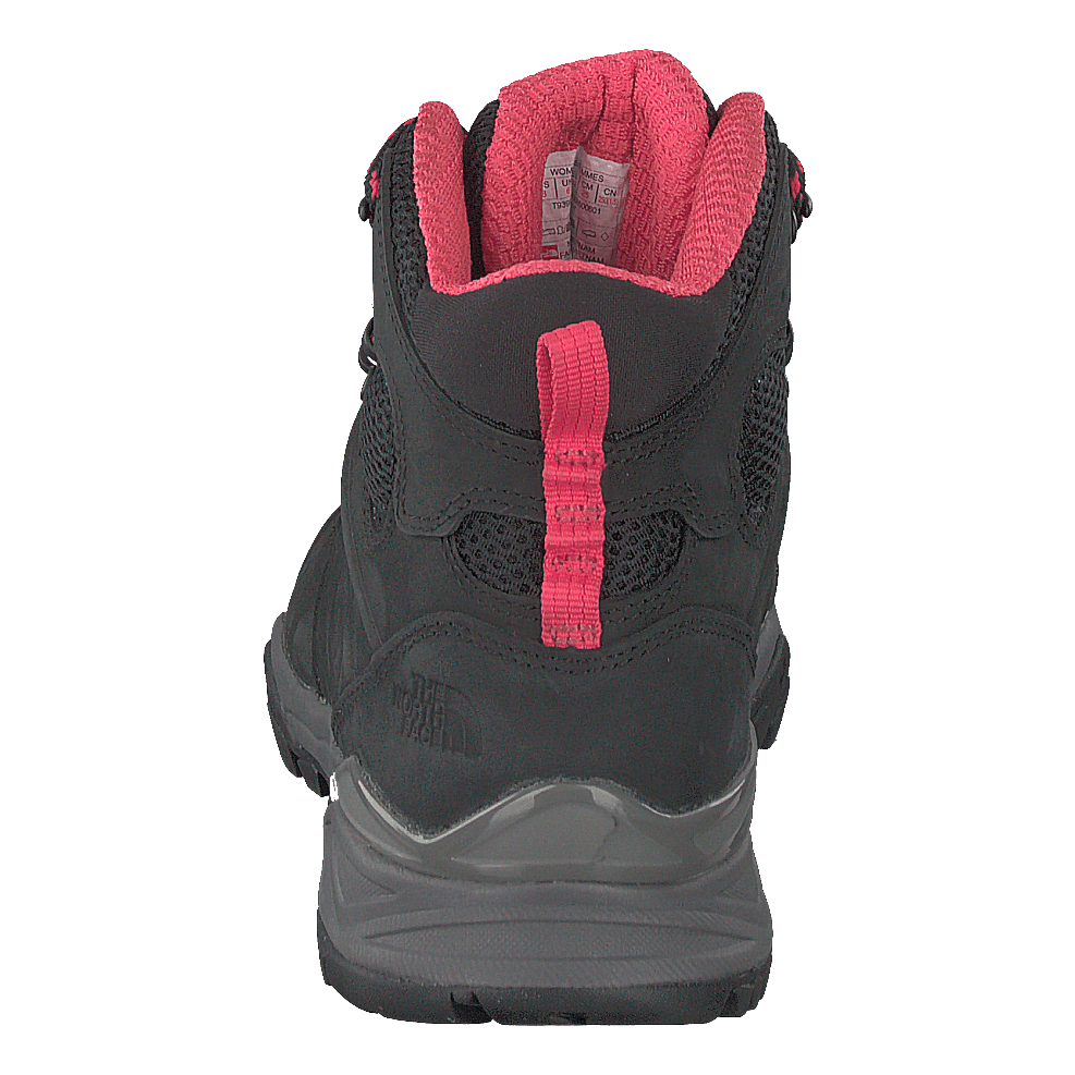 Hedgehog hike 2025 ii gtx