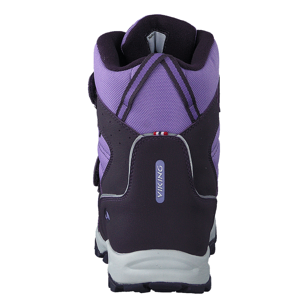 Bluster Ii Gtx Aubergine/purple