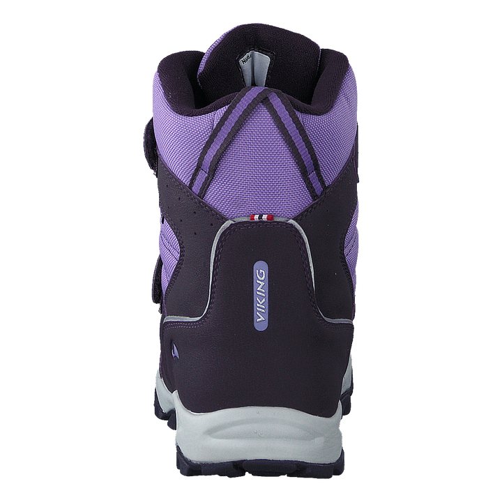 Bluster Ii Gtx Aubergine/purple