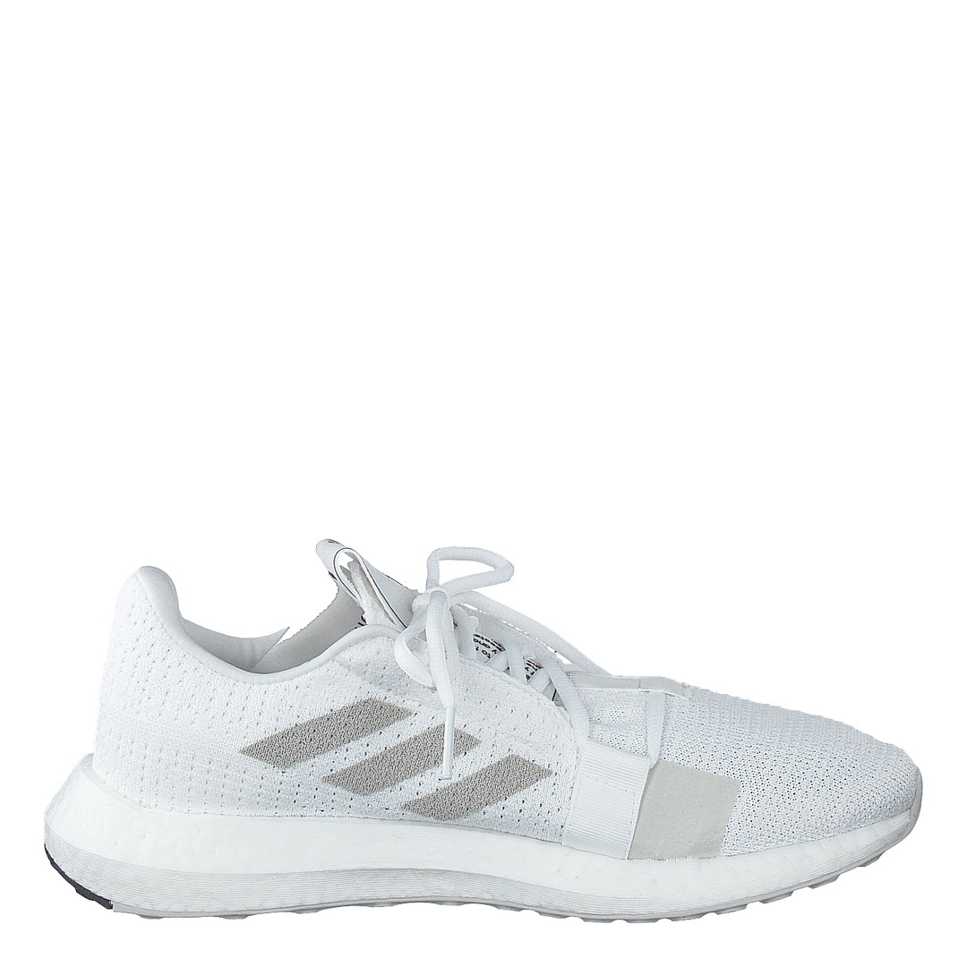 Senseboost Go Shoes Cloud White / Grey One / Core Black