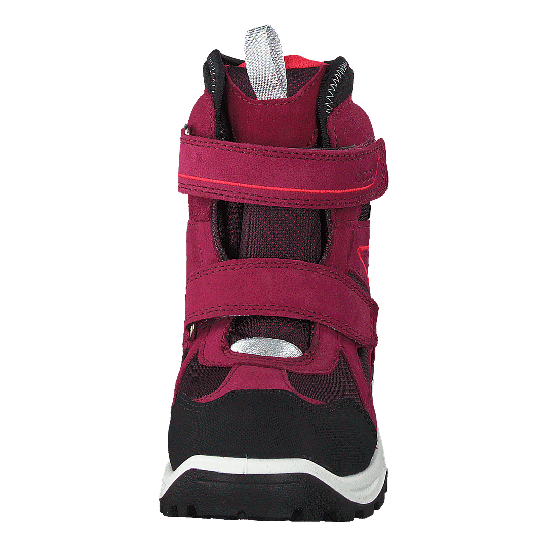 Snow Mountain Black/red Plum