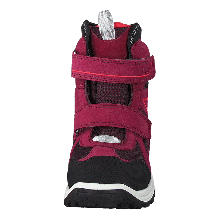 Snow Mountain Black/red Plum