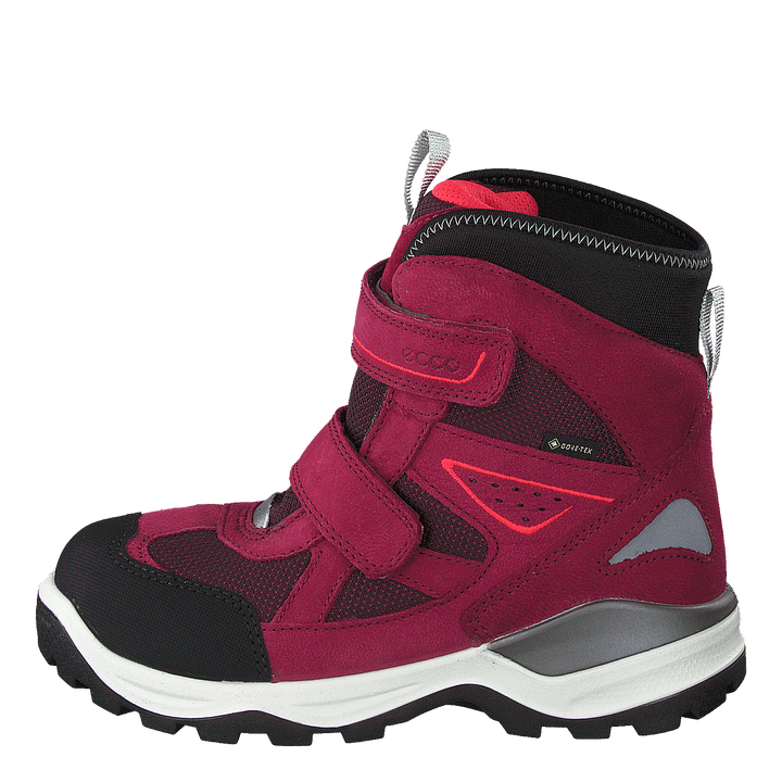 Snow Mountain Black/red Plum