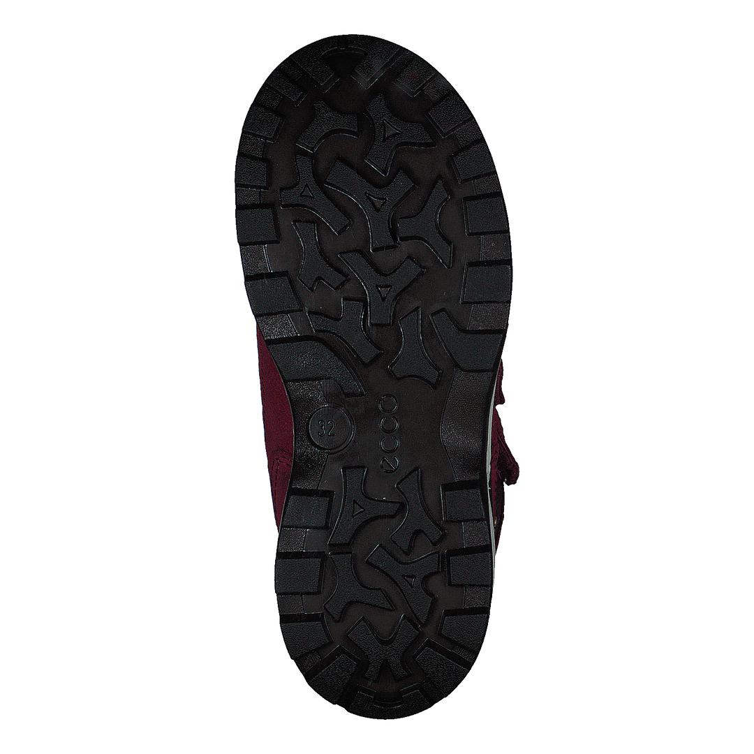 Snow Mountain Black/red Plum