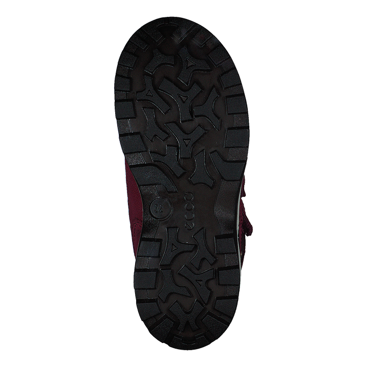 Snow Mountain Black/red Plum