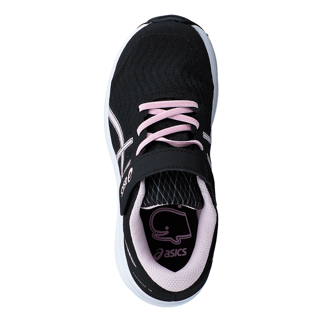 Patriot 12 Ps Black/pink