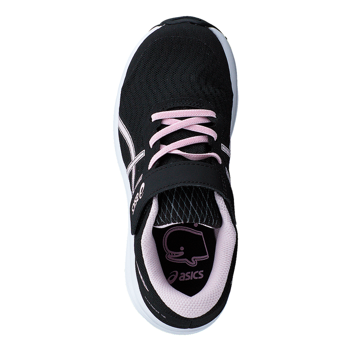 Patriot 12 Ps Black/pink