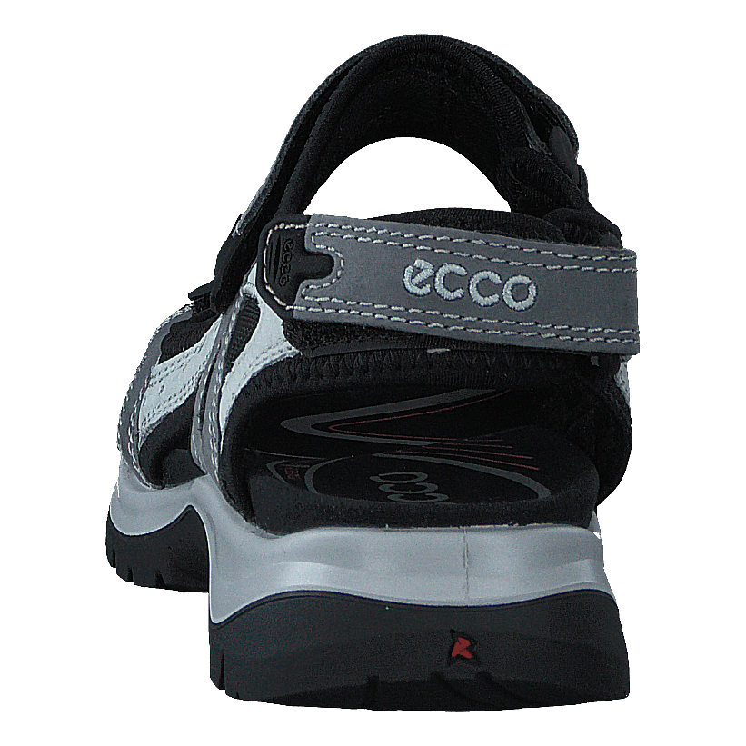 Ecco Offroad Titanium