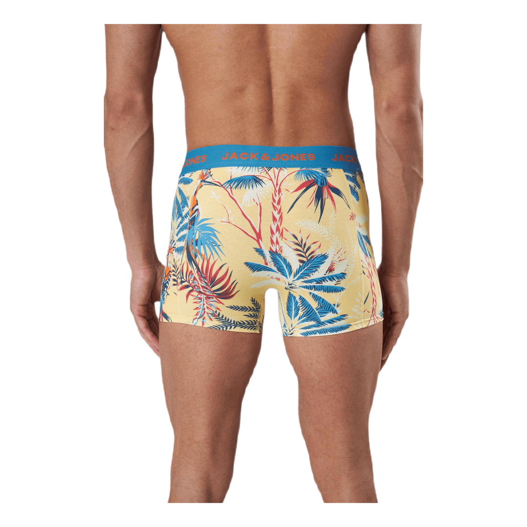 Tropic Palm Trunks 3 Pack Röd