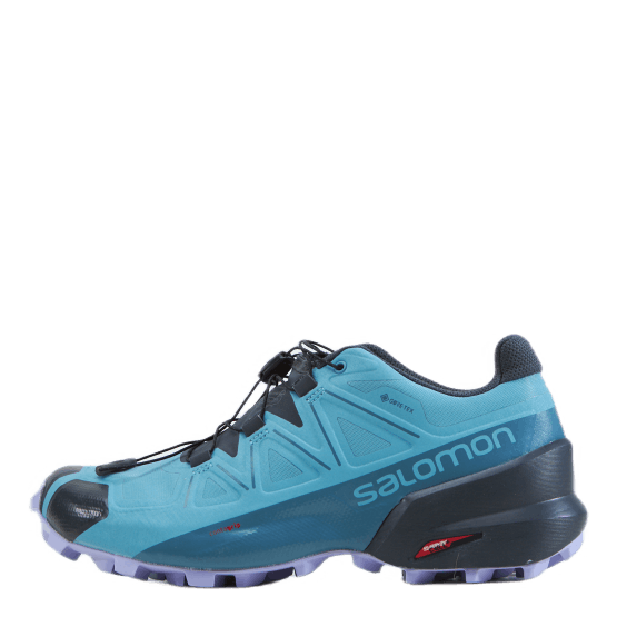 Speedcross 5 Gtx W Delphinium Blue/mallard Blue/l