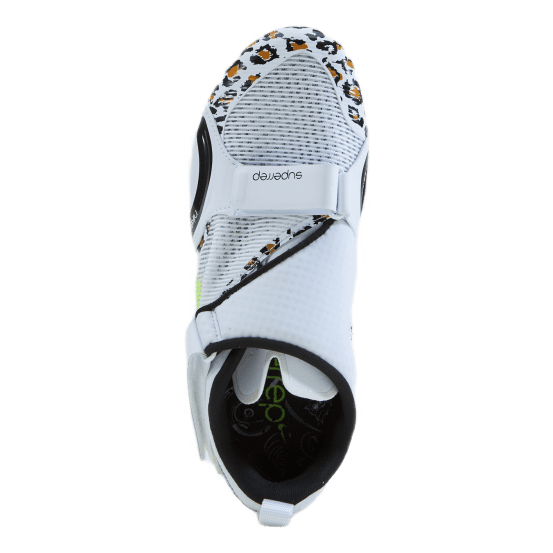 Vazee sigma glory 2024 white and gold