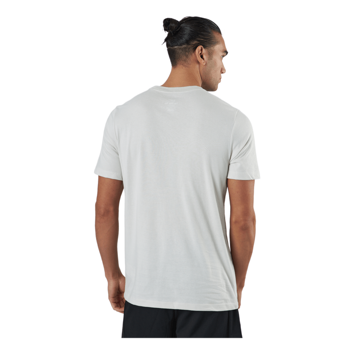 Dri-fit Men's Logo Training T- Light Bone