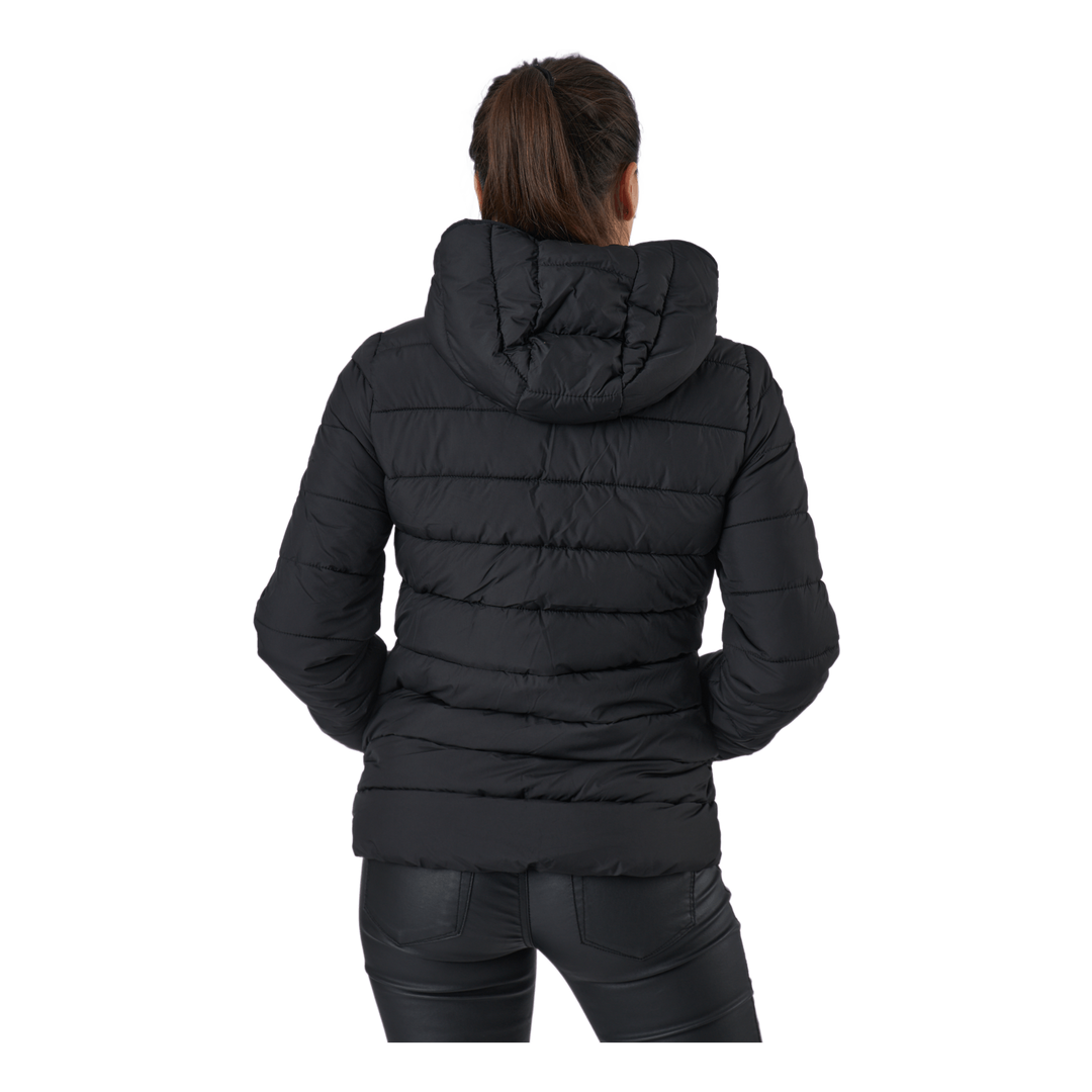 Hooded Polyfilled Jacket Black Beauty