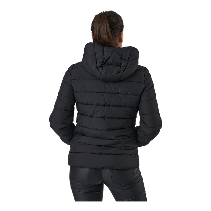 Hooded Polyfilled Jacket Black Beauty