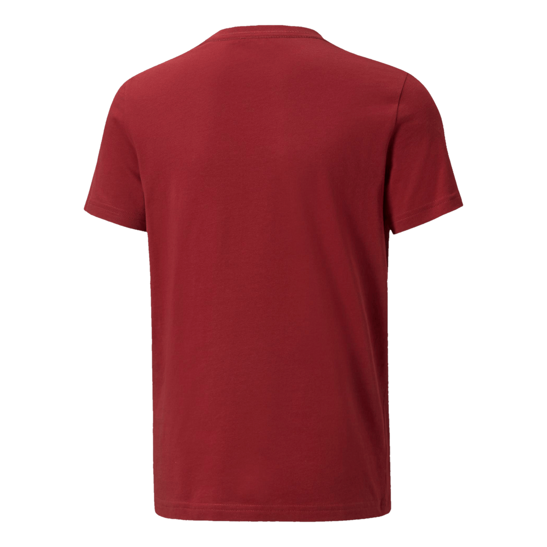 Ess+ 2 Col Logo Tee B Intense Red