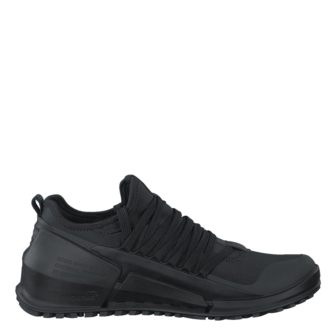 Ecco online biom 2.0