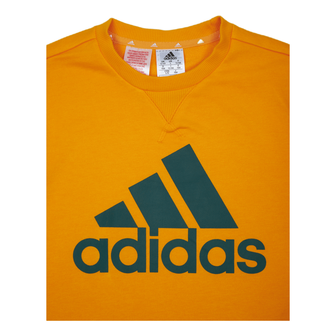 Adidas Boys Essentials Big Logo Sweatshirt Semi Solar Gold / Collegiate Green