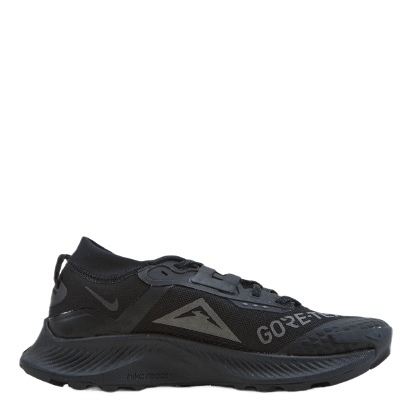 Pegasus Trail 3 Gore-tex Men's Black/black-dk Smoke Grey-iron