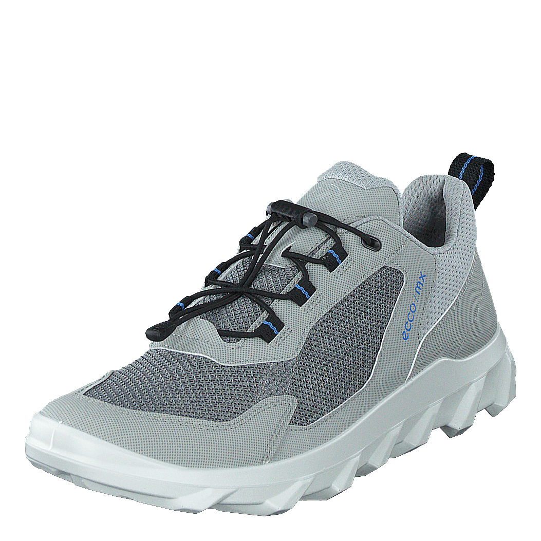 Ecco sneakers mens hot sale silver