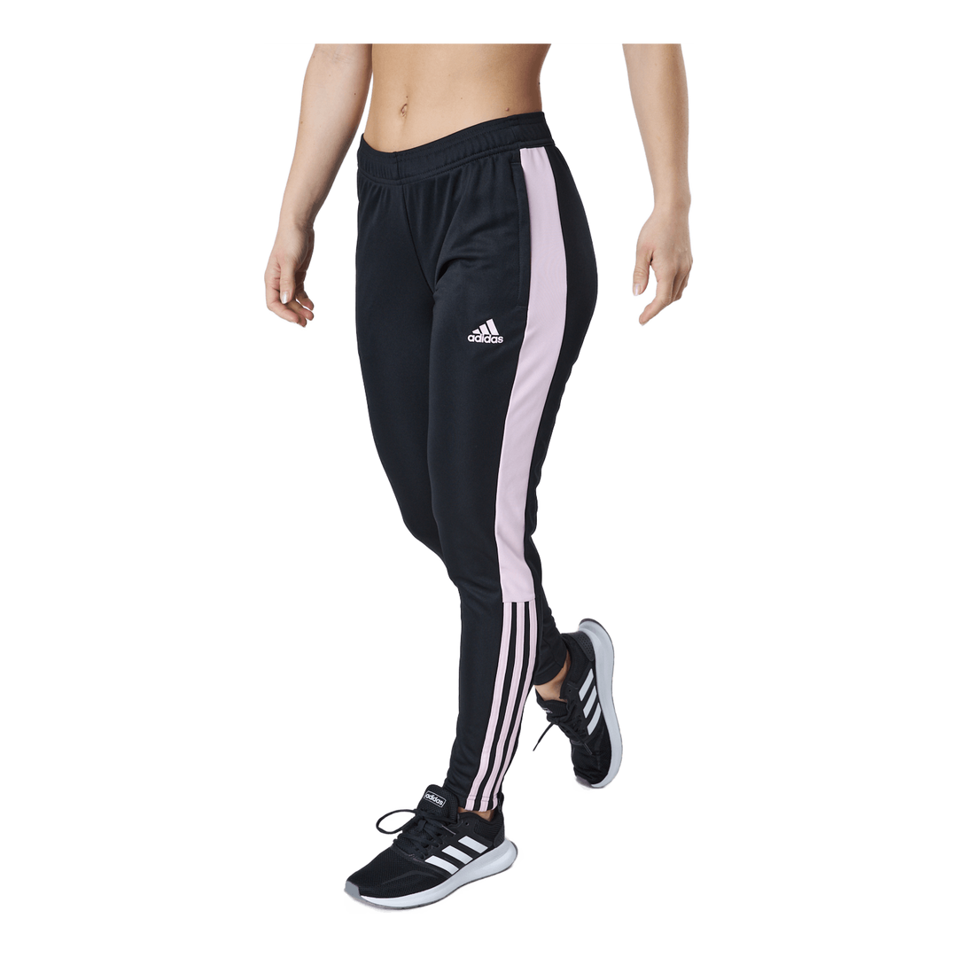 Climacool top pants womens
