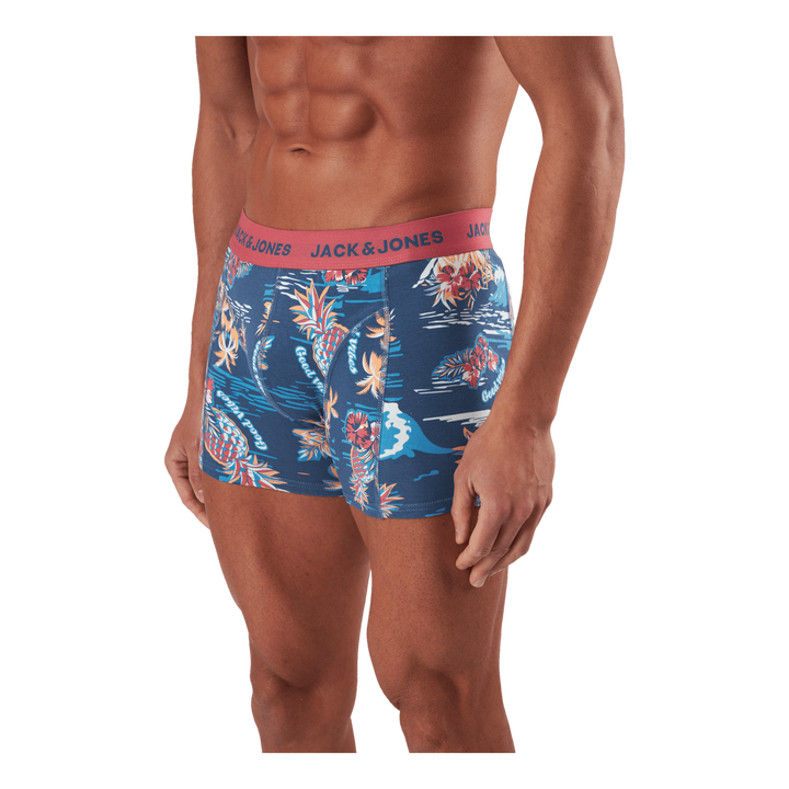 Jactropic Pineapple Trunks 3 P Slate Rose