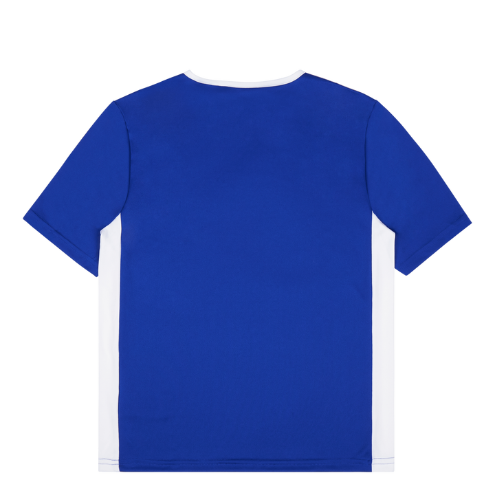 Entrada Jersey Bold Blue