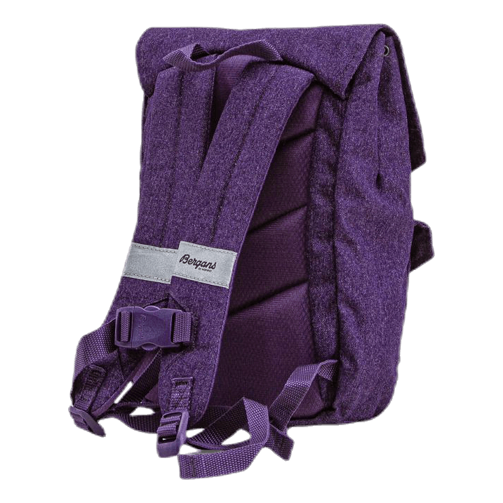 Veslefjell 7 Canvas Purple