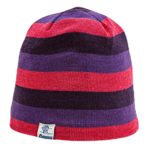 Frost Kids Beanie Purple