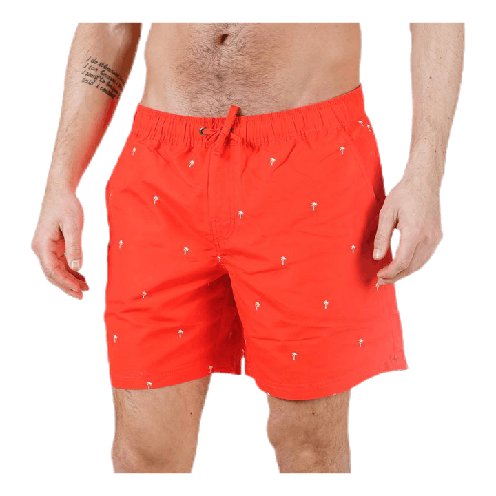 Scale Shorts Red