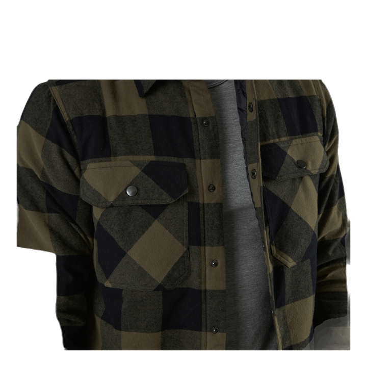 Darwin Shirt Green