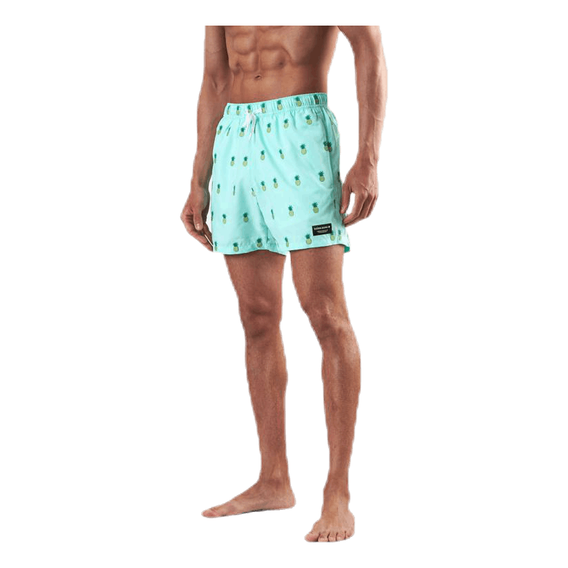 Santiago Swim Shorts Green