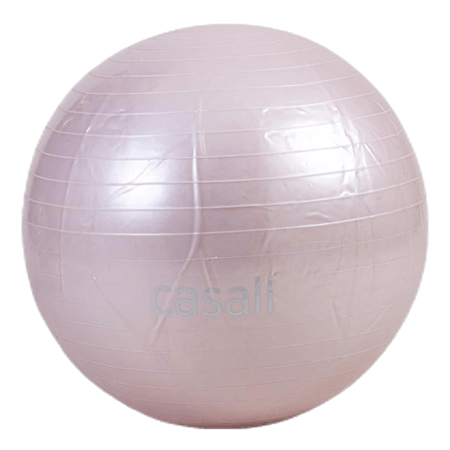 Gym Ball 70cm Purple