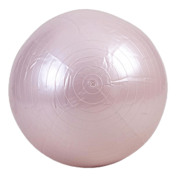 Gym Ball 70cm Purple